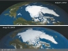 북극 빙하 60%늘어나 지구 온난화 논란